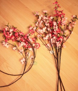 IMG_5662-cherry-blossoms