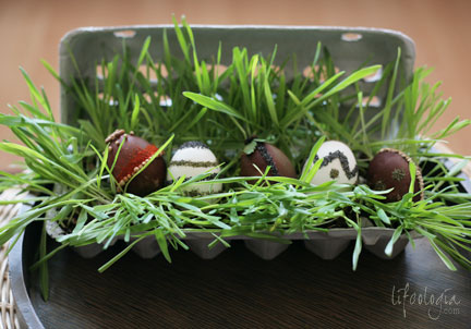 IMG_5757-easter-eggs-decorating-natural-style