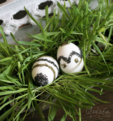IMG_5771-easter-eggs-decorating-with-poppy-seeds