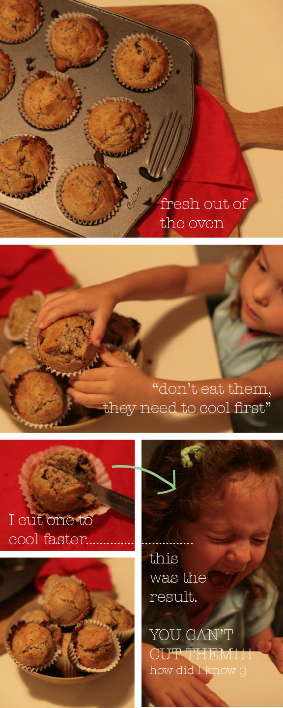 chocolate millet-muffins instructions easy recipe