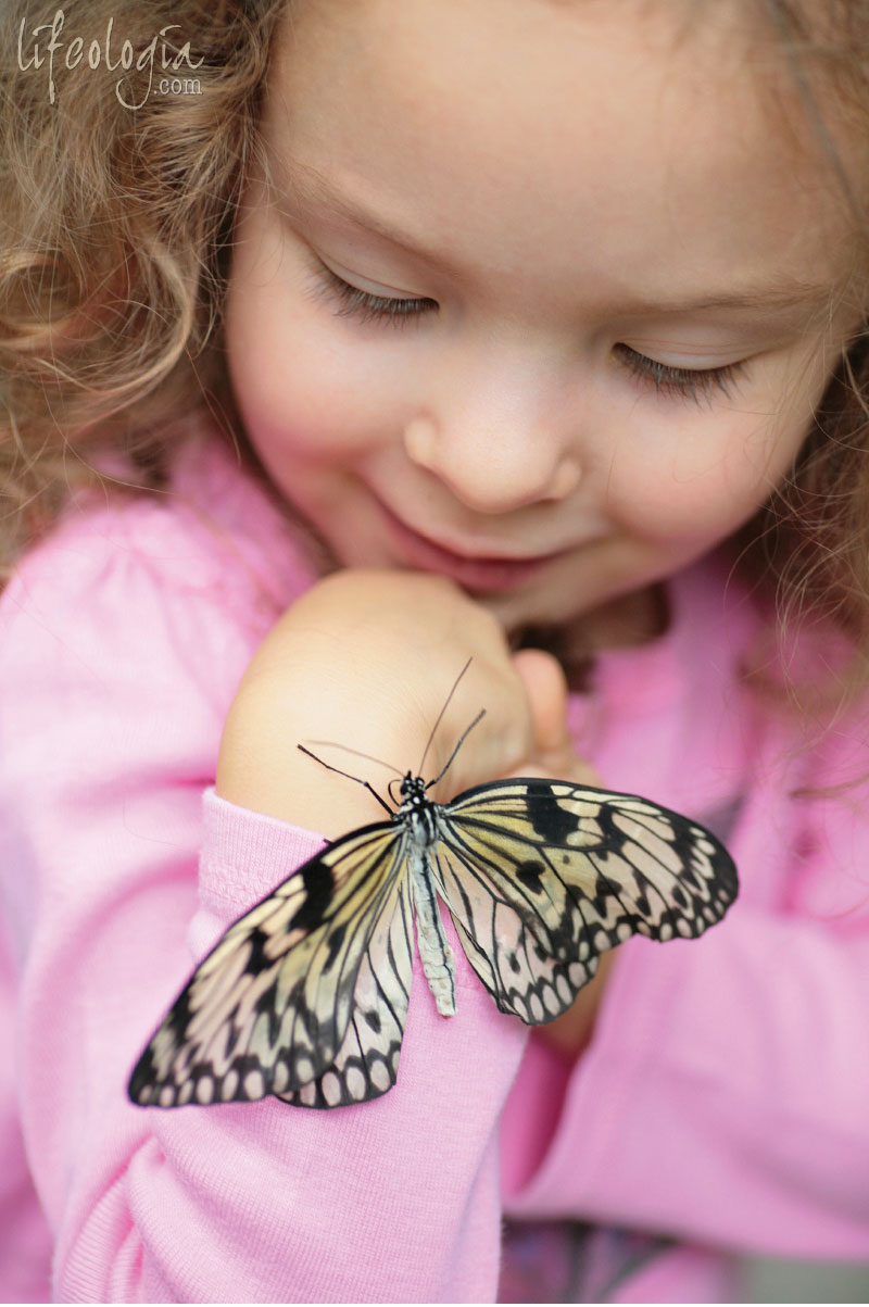 this-moment-butterfly
