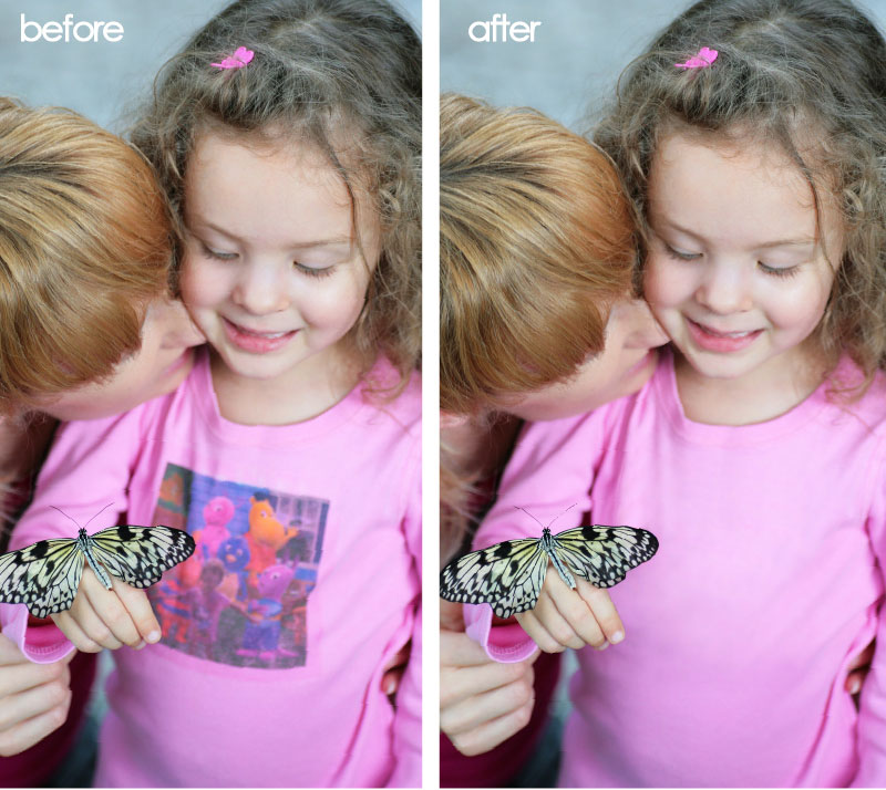 butterfly-photography6