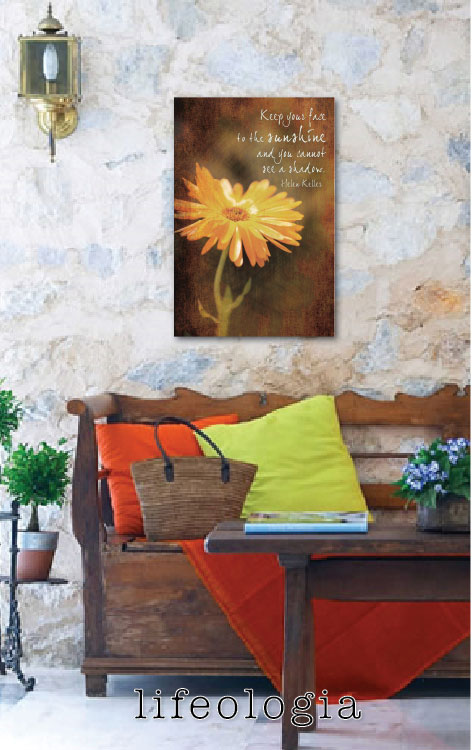 lifeologia-inspirational-photography-posters2