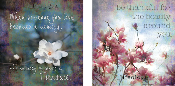 lifeologia-inspirational-photography-posters3