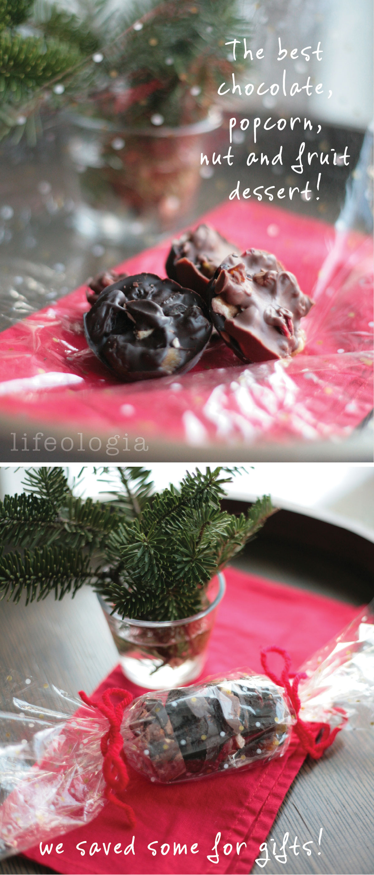 chocolate-snack-dessert6